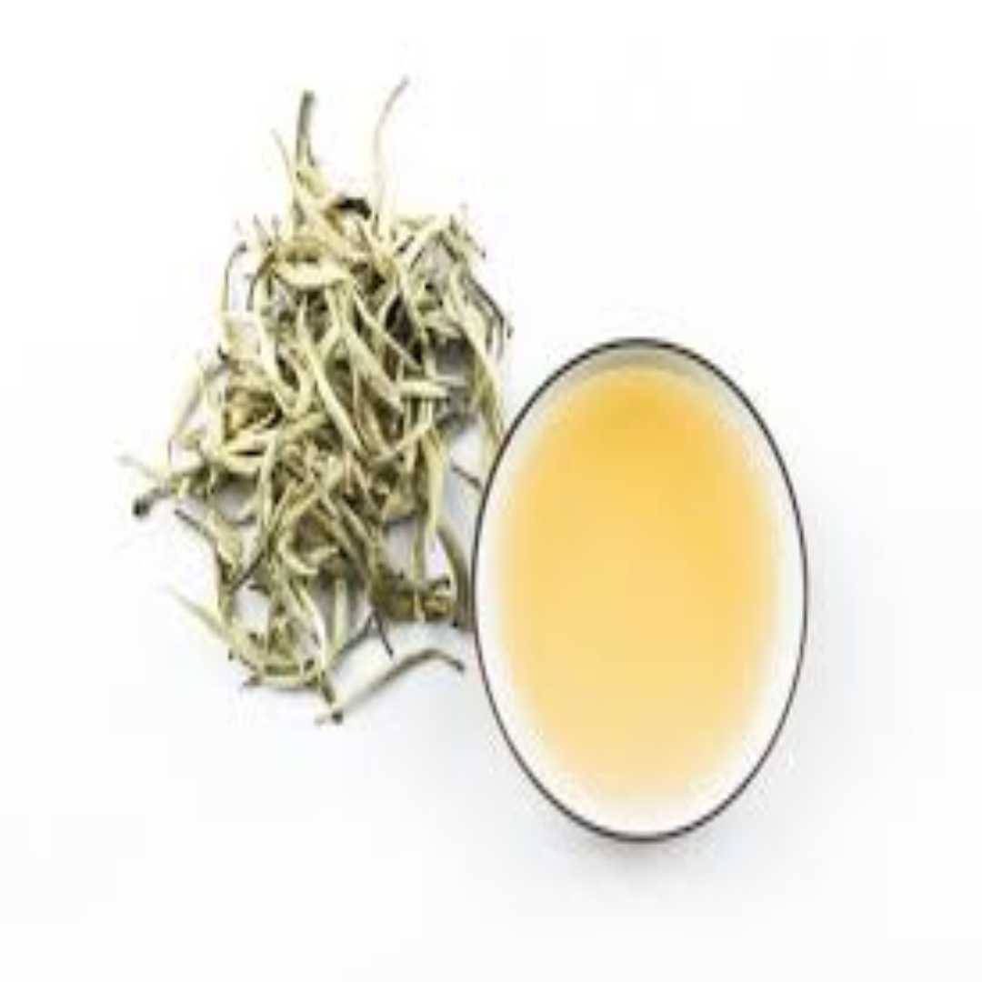 White Tea Wholesale for High-End Trade and Distribution