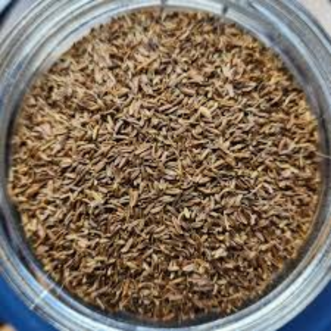 Wild Cumin for Authentic Quality and Niche Export Markets
