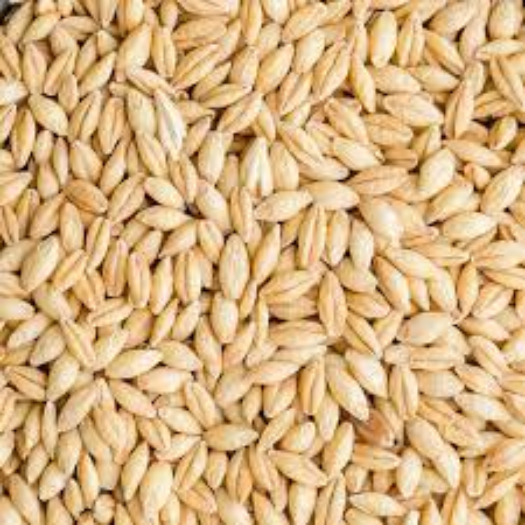 Barley Products