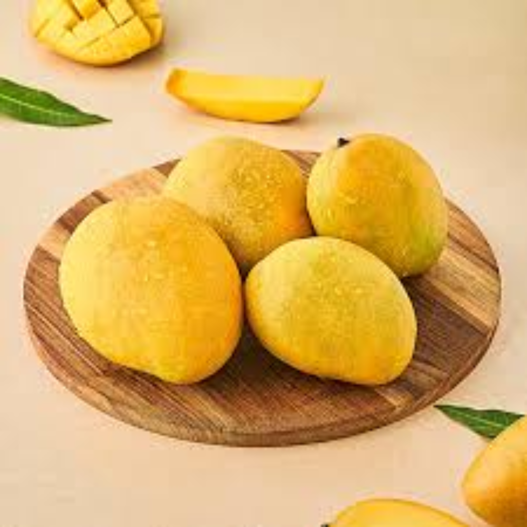 Badami Mango – Wholesale Supplier in UAE & Global Markets