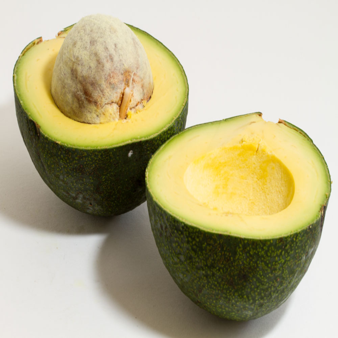 Reed Avocado Exporter UAE