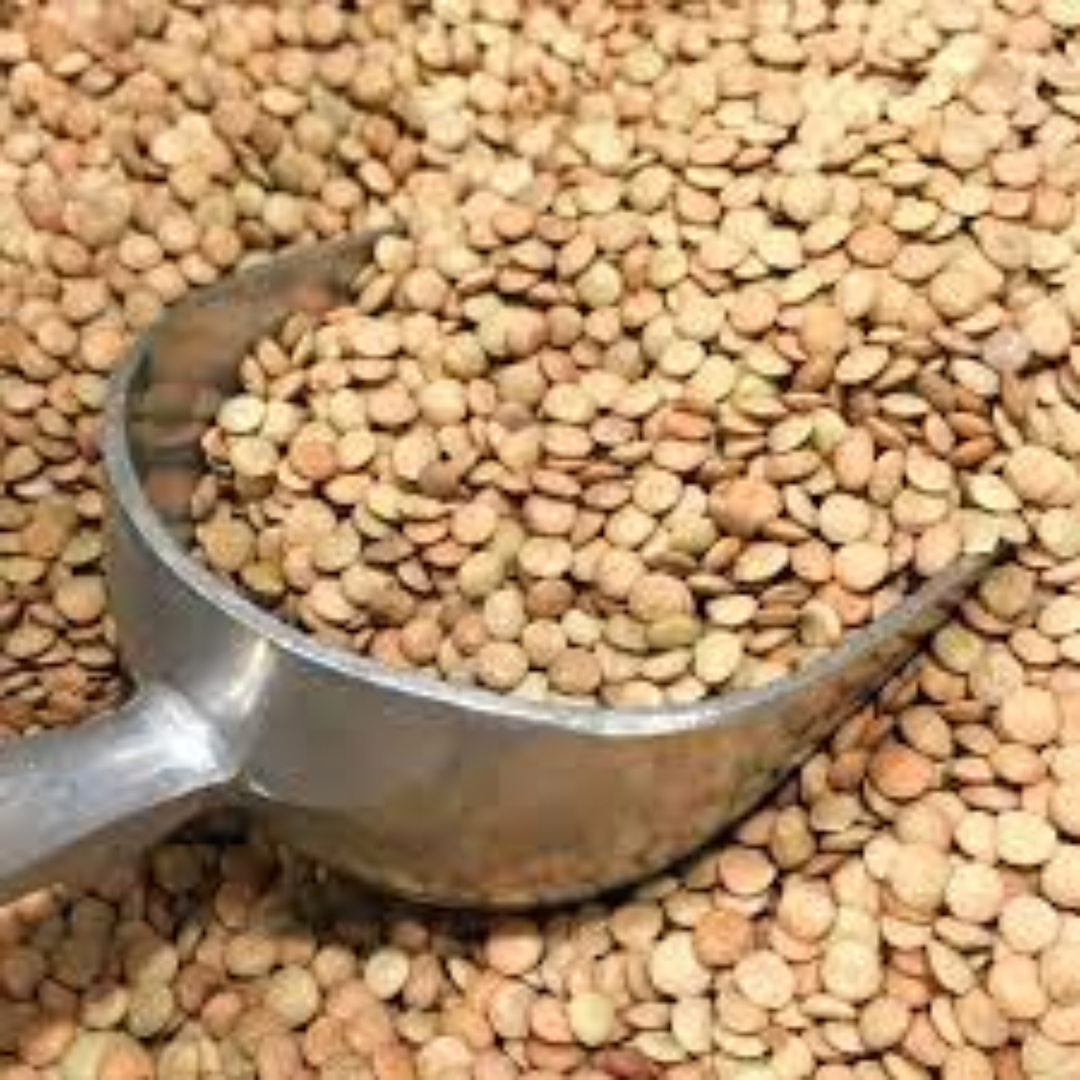 Whole Lentils Supplier For Protein-Rich Meals
