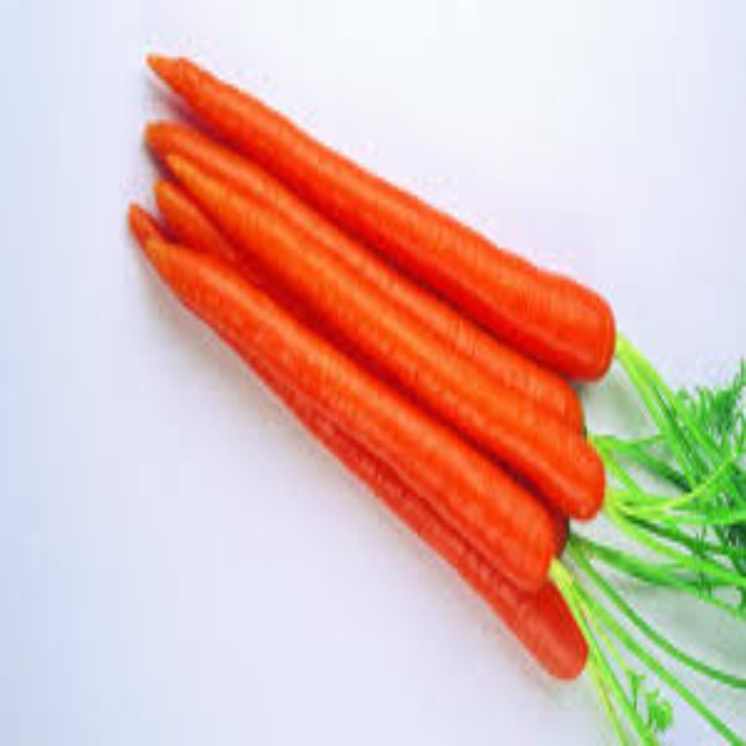 Enterprise Carrots High Yield Fresh Quality Crunchy Texture Ideal for Bulk Supply and Export