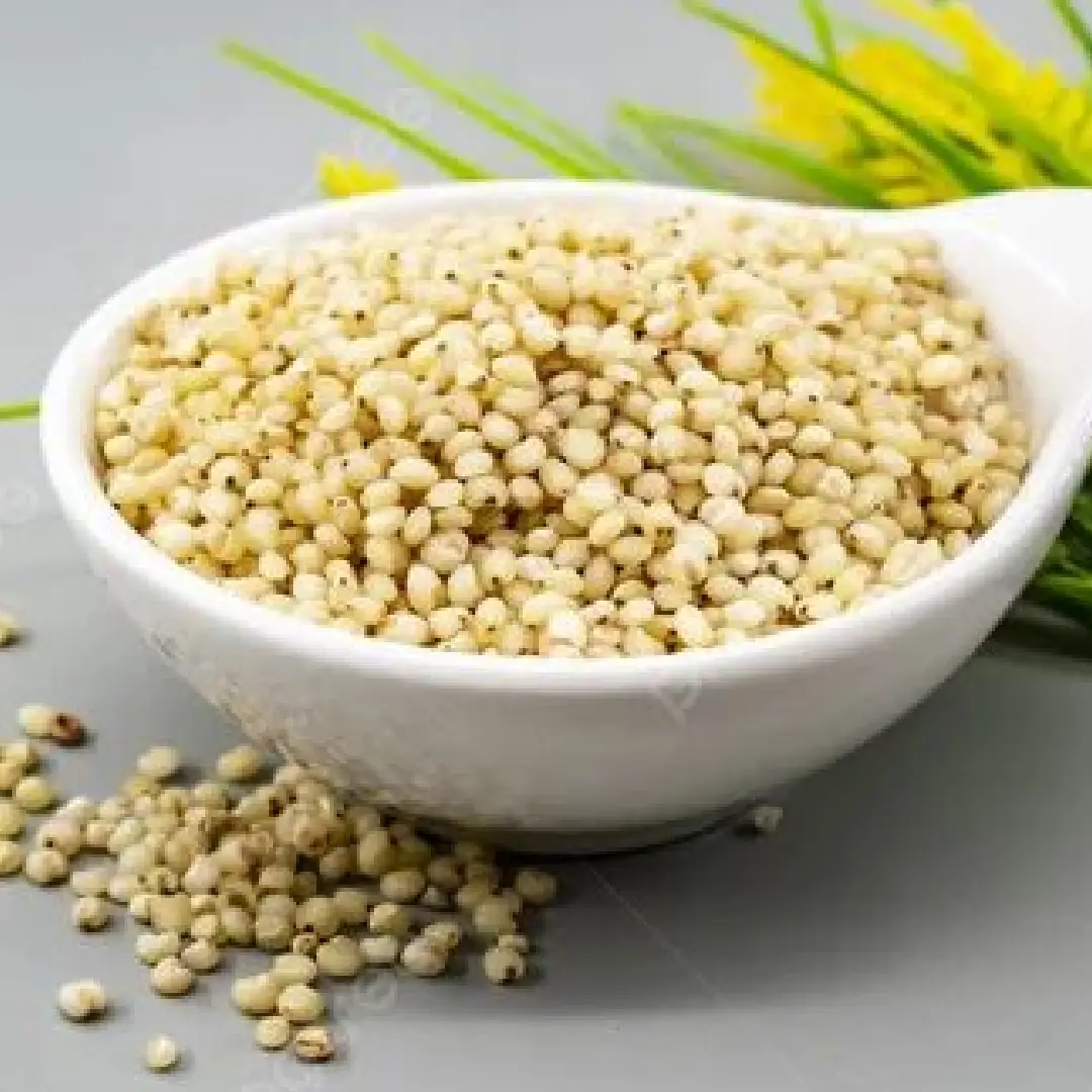 White Sorghum Whole Grains Natural 25 Kg Packaging 200 Kg Minimum Order