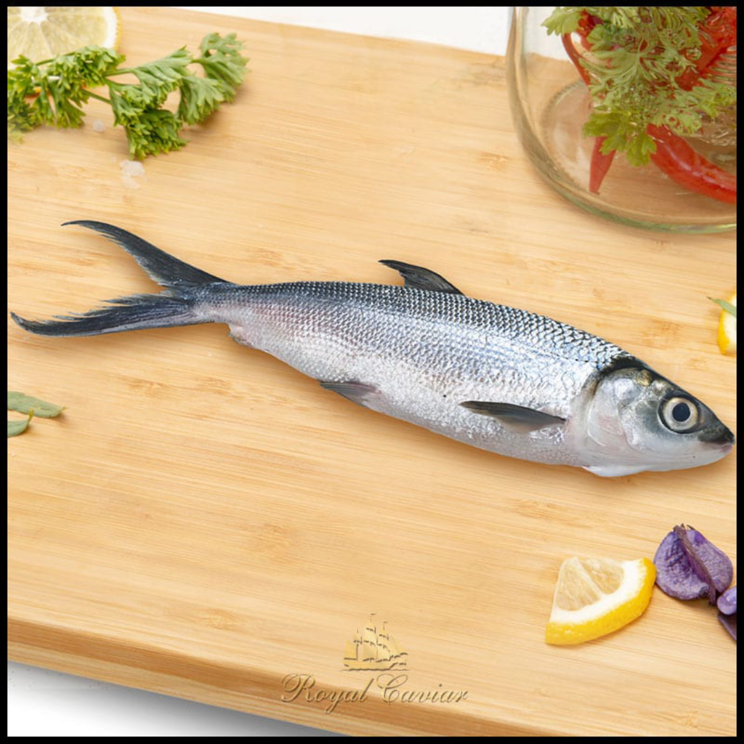 Milk Fresh Fish Seafood Supplier United Arab Emirates