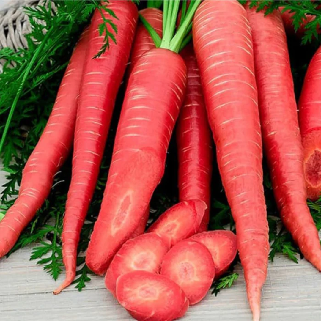 Enterprise Carrots Wholesale For Premium Quality