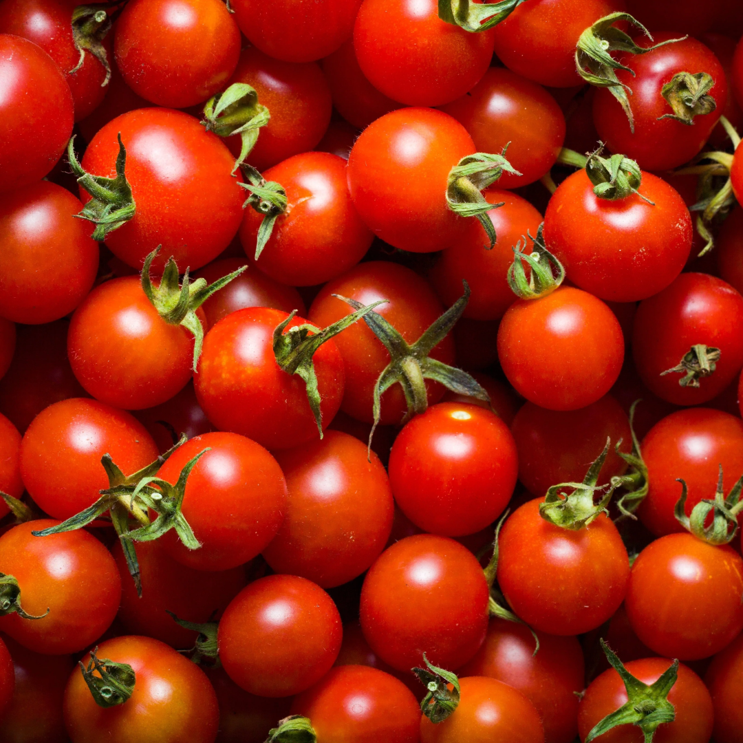 Cherry Tomato Supplier For Fresh Juicy Taste