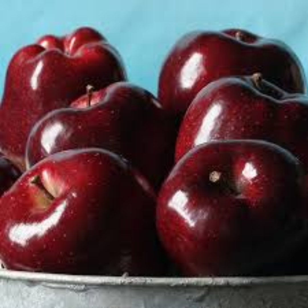 Fuji Apples for International Supply and Premium Export