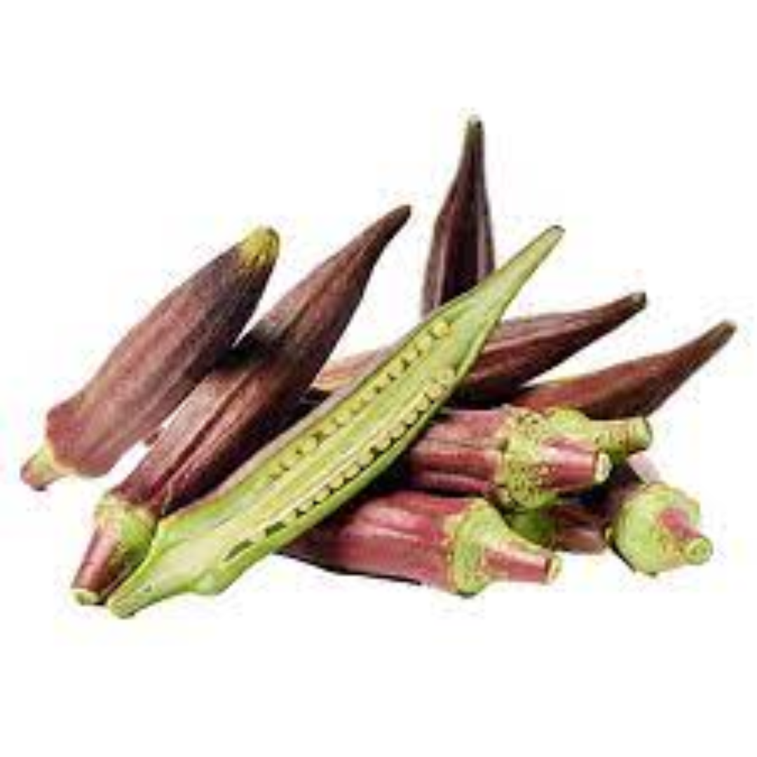 Okra Red Short Lady Finger for Rich Flavor Vegetable Dishes