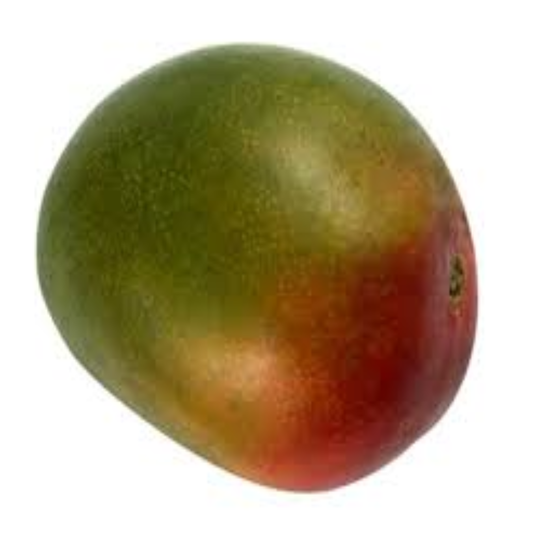 Kent Mangoes for Global Supply and Fresh Produce Trade