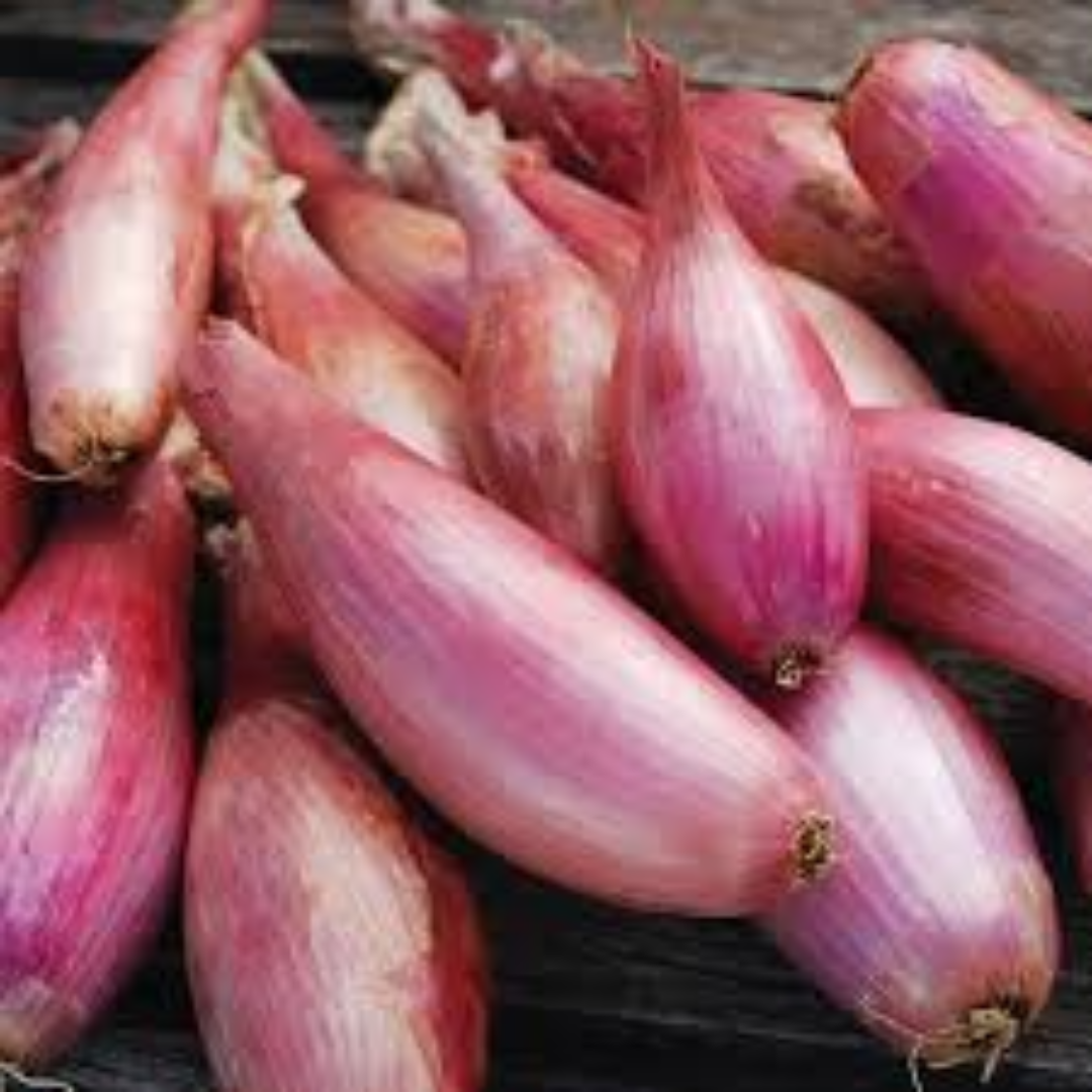 Fresh Shallot Onion Mild Sweet Flavor Perfect for Gourmet Cooking Salads and International Recipes