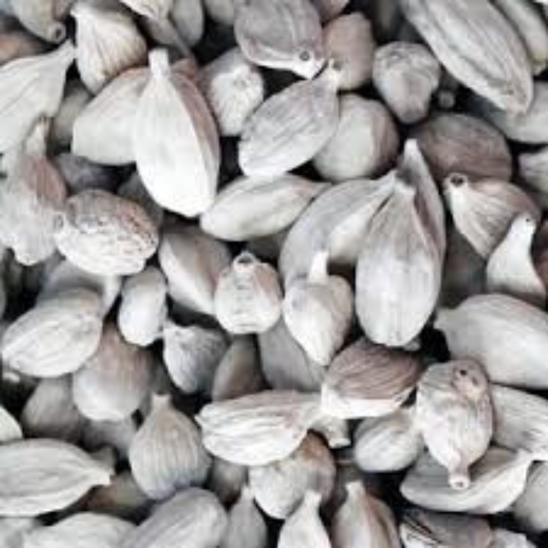 White Cardamom Premium Grade Green Elaichi Substitute for Sweets Tea and Flavorful Recipes