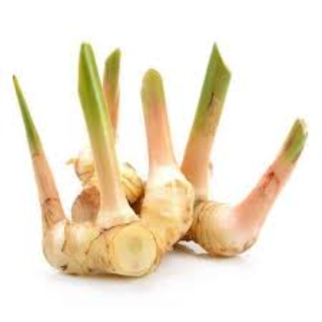 Galangal Ginger Root for Authentic Flavor Use