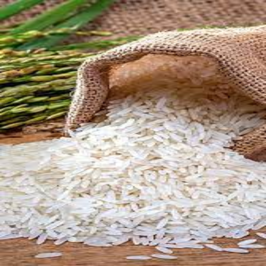 Basmati Rice Wholesale For Bulk Orders Online