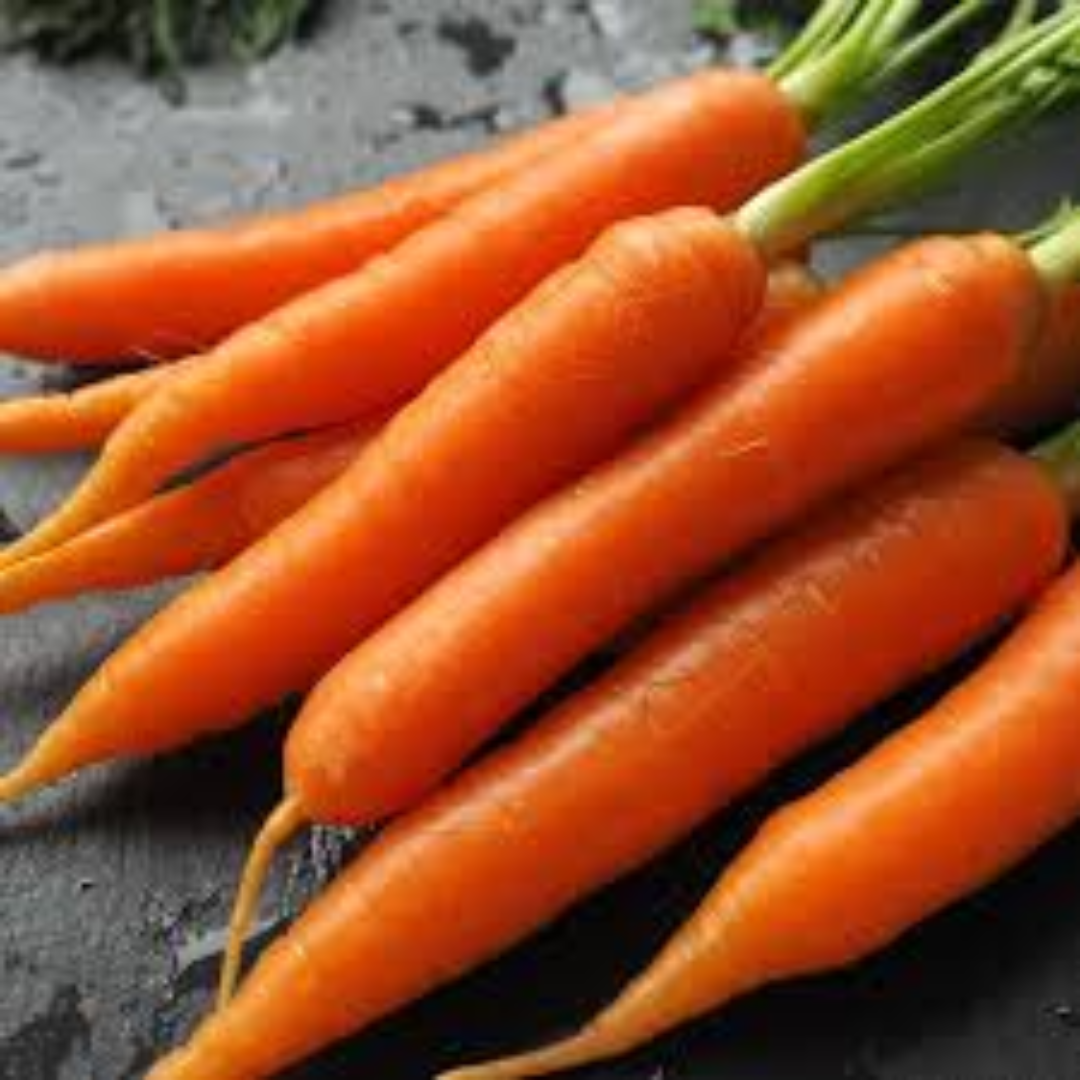 Danvers Carrots Supplier For Classic Root Freshness