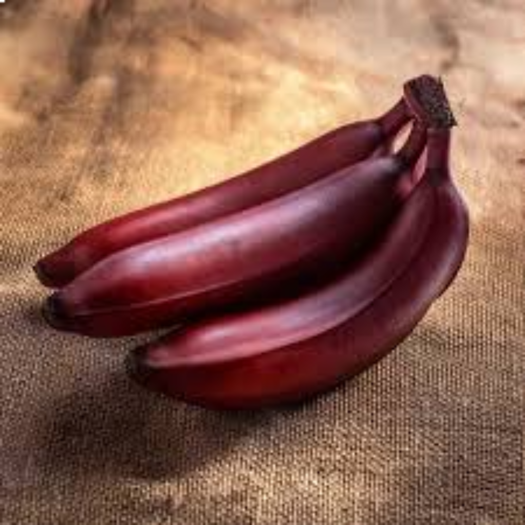 Red Banana for Premium Fruit Trade and Global Supply