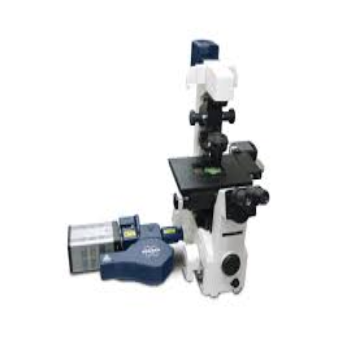 Swept-Field Confocal Microscopes For Fast Analysis