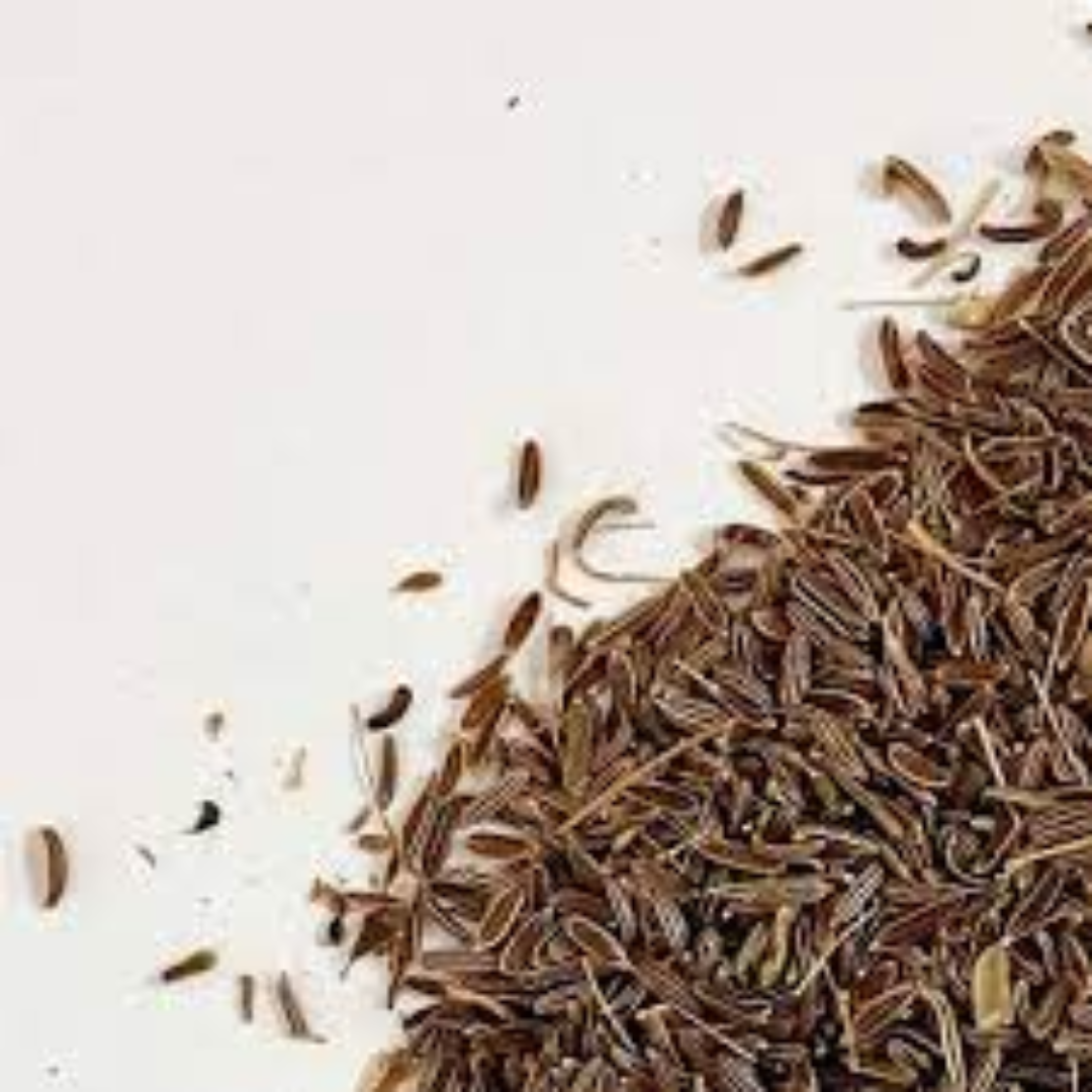 Wild Cumin for Rustic Intense Aroma in Traditional Dishes
