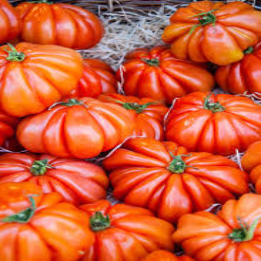 Beefsteak Tomatoes for Big Juicy Slices and Gourmet Burgers