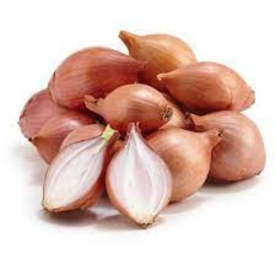Fresh Shallot Onion for Refined Taste and Premium Recipes