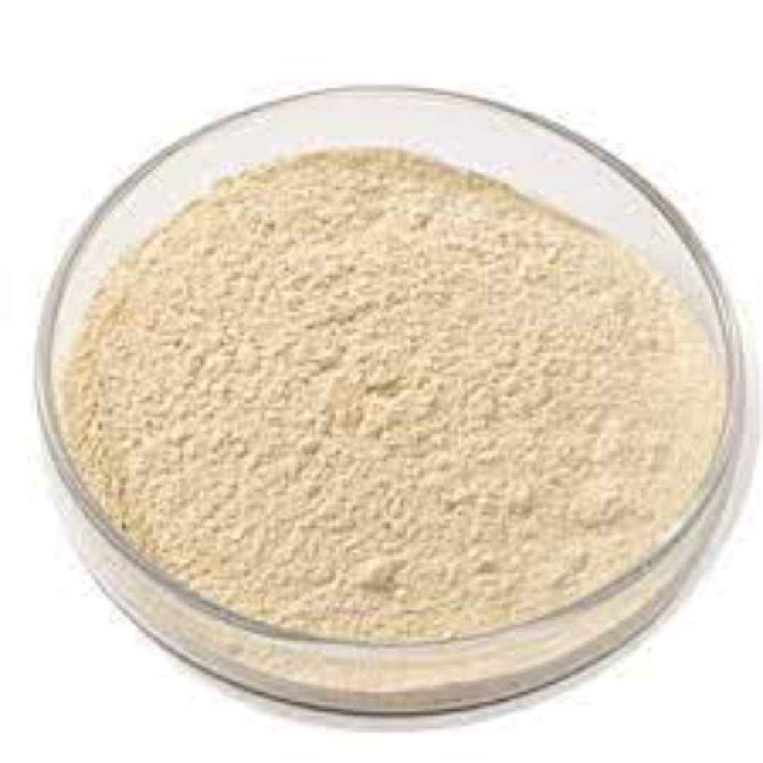 Bean Protein Products for Clean Label and B2B Nutrition Trade