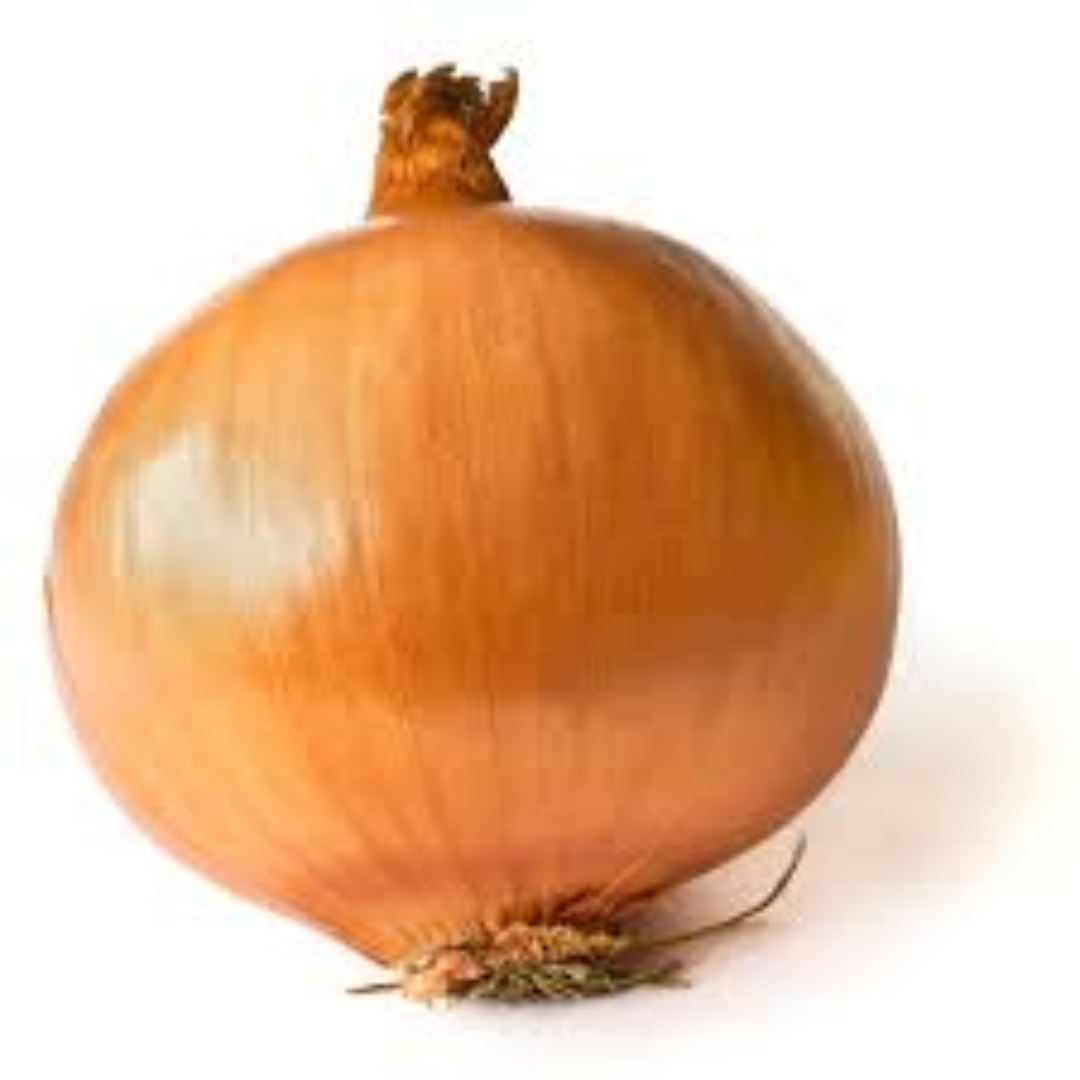 Yellow Onion for Overseas Markets and Foodservice Trade