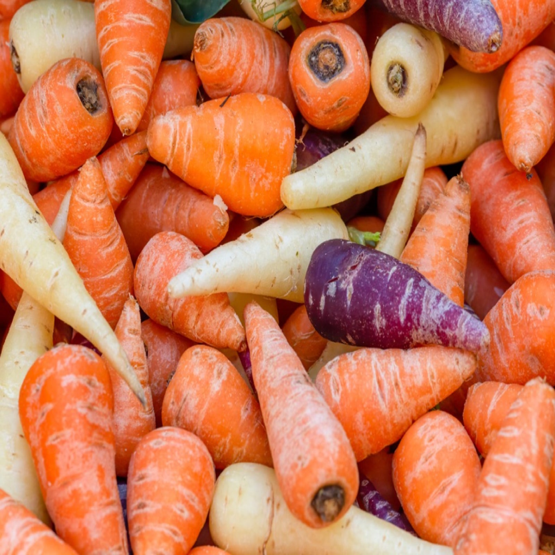 Premium Chantenay Carrots Sweet Crunchy Texture Ideal for Roasting Soups and Healthy Daily Meals