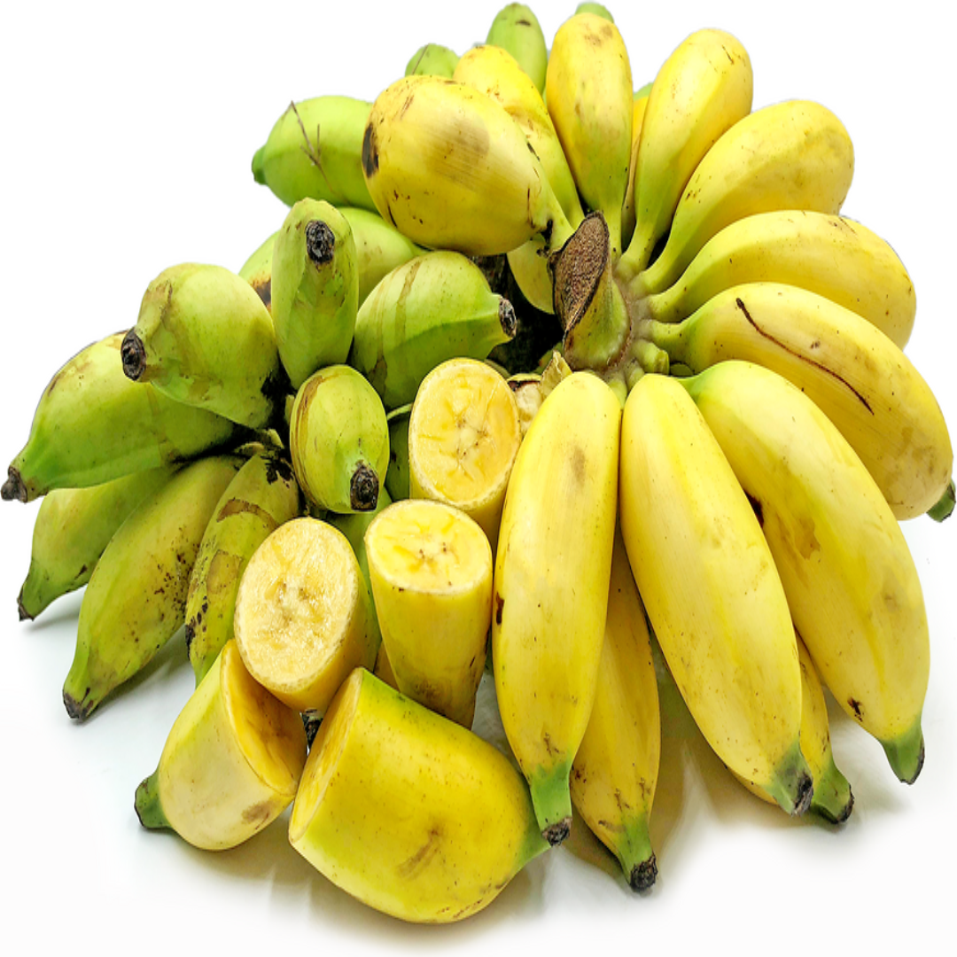 Pisang Raja Banana Supplier For Fresh Tropical Taste