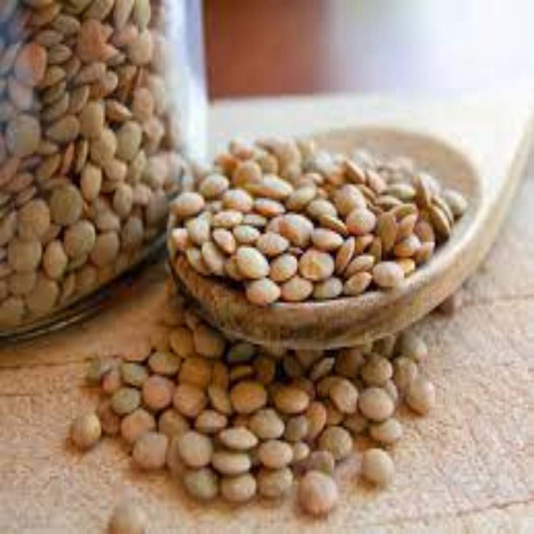 Lentil Protein Products Distributor For Healthy Meals