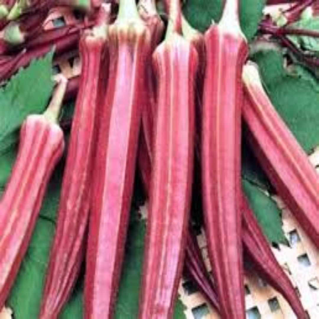 Fresh Red Short Okra for Flavorful Everyday Cooking