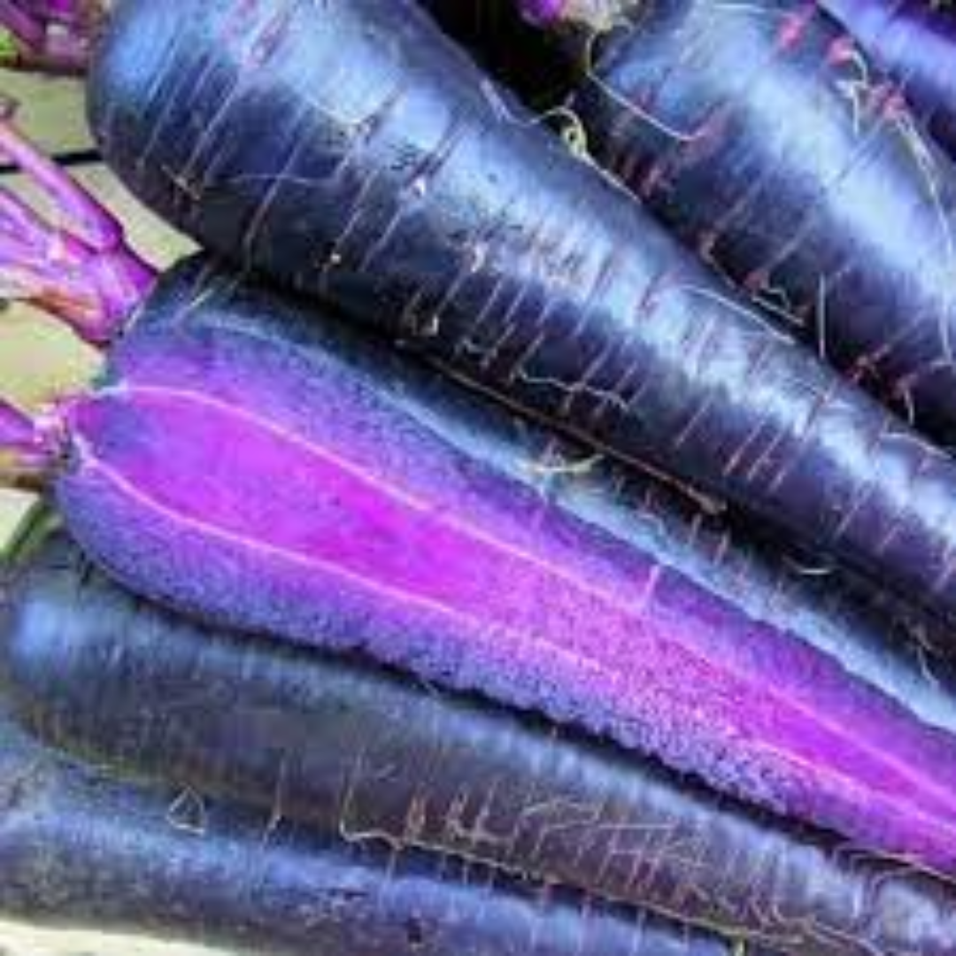 Naturally Grown Black Carrots for Nutrient-Rich Diets