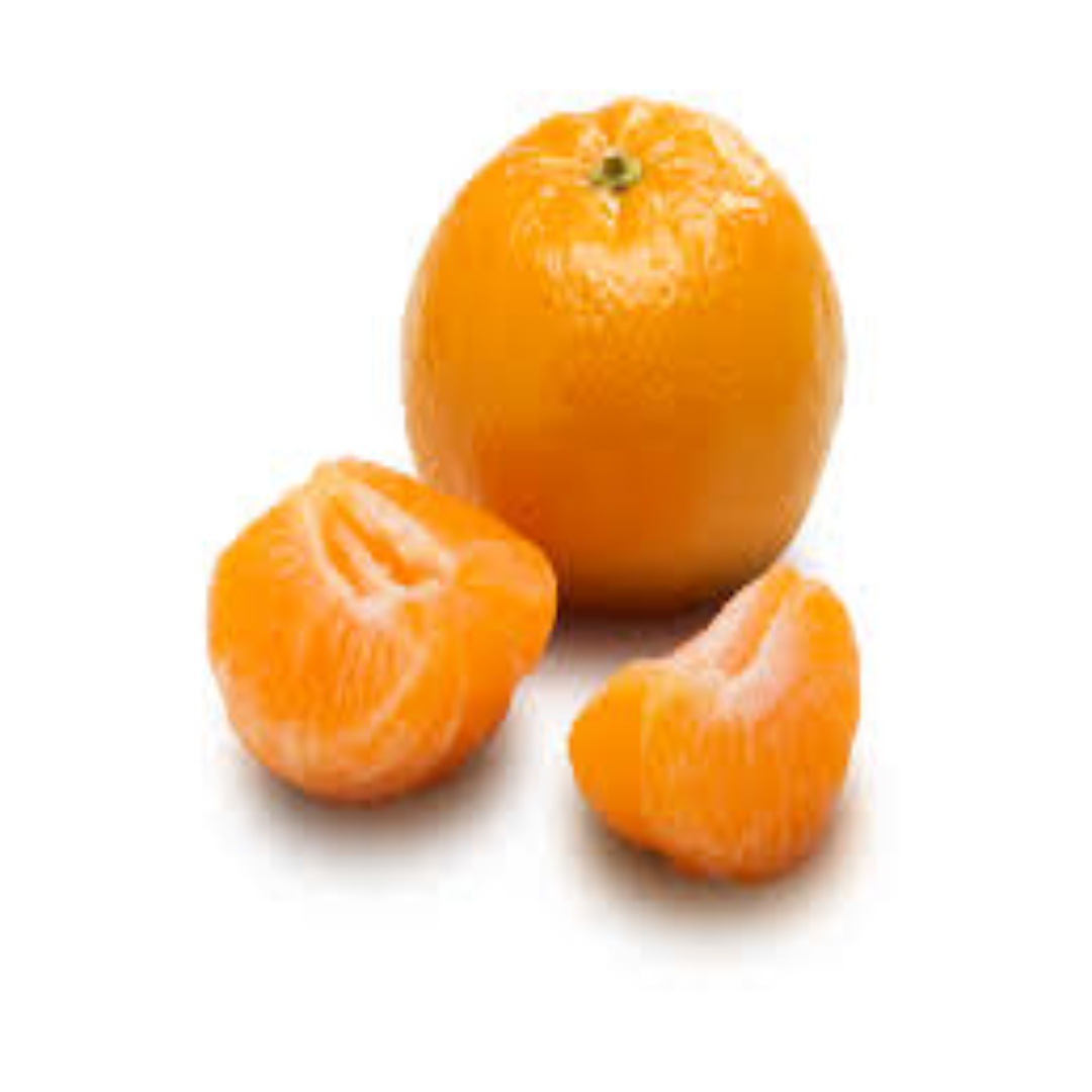Mandarin Orange for International Produce and Trade Buyers