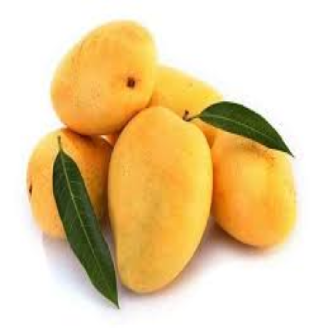 Kesar Mangoes for Premium Export and Overseas Buyers