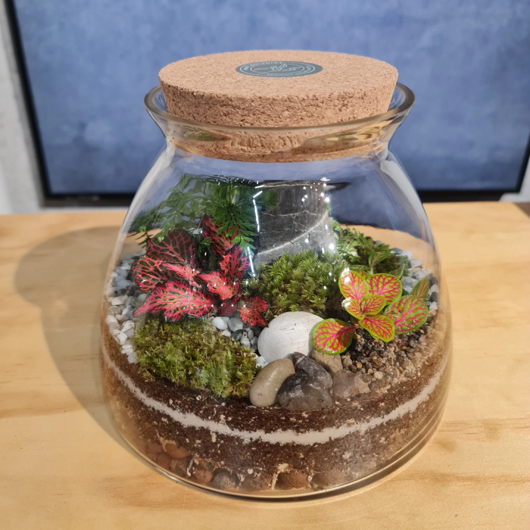 Glass Terrariums Decorative Planters Vietnam
