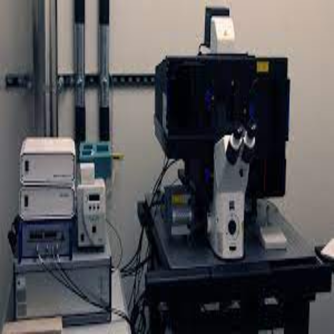 Structured Illumination Microscopy Advanced Imaging Tool