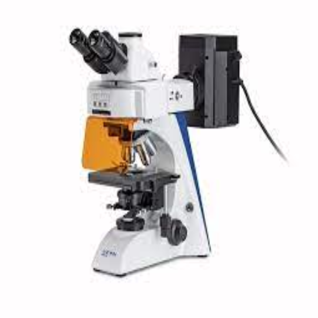 Affordable Fluorescence Microscopes For Universities