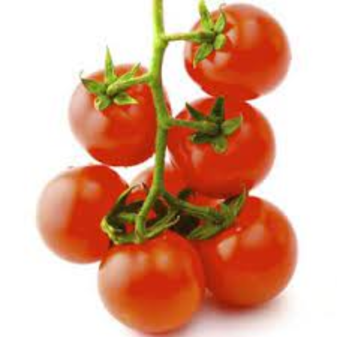 Cherry Tomatoes Loved for Natural Sweetness and Quality