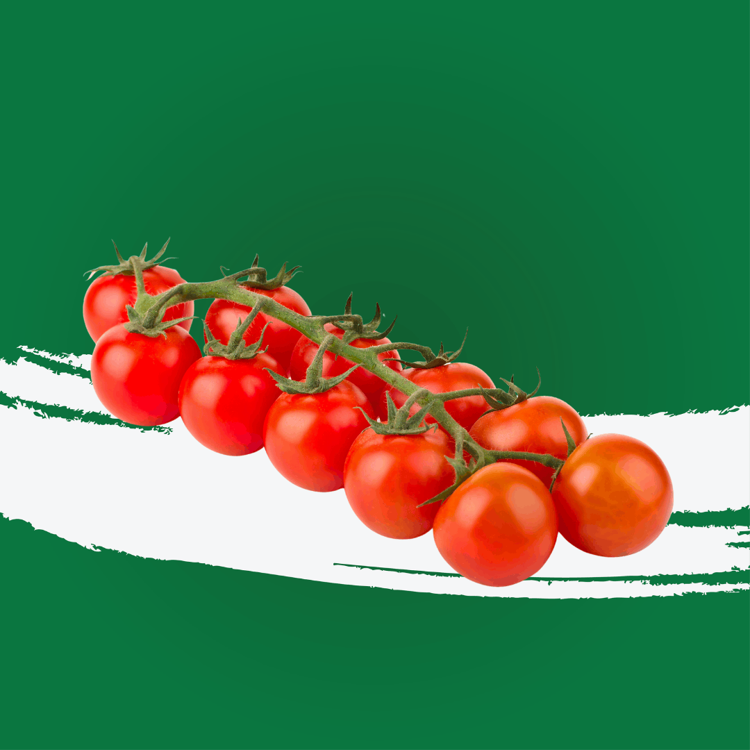 Wholesale Tomato Cherry Bunch UAE