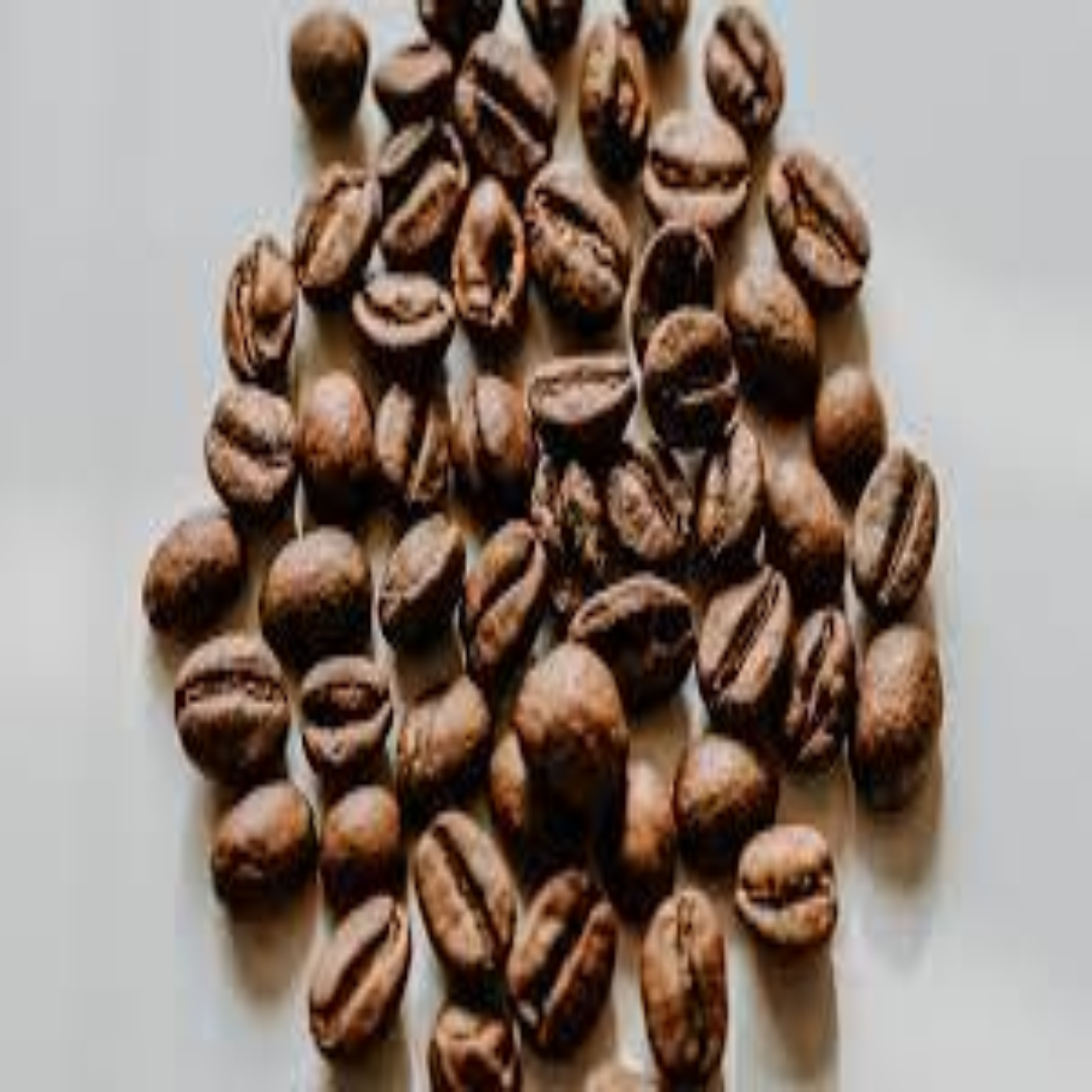 Whole Beans Wholesale Supplier for Natural Protein Sources