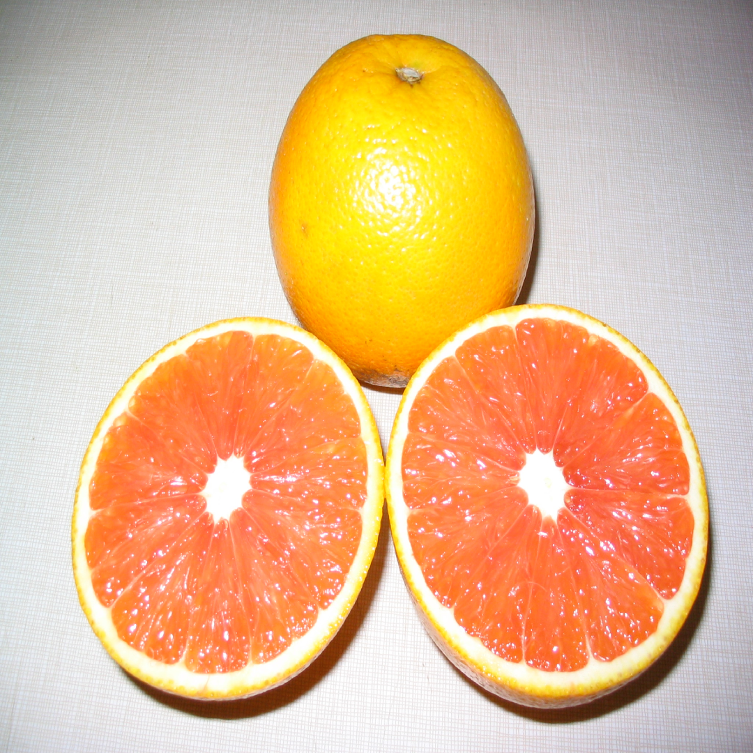 Cara Cara Orange Wholesale For Fresh Taste