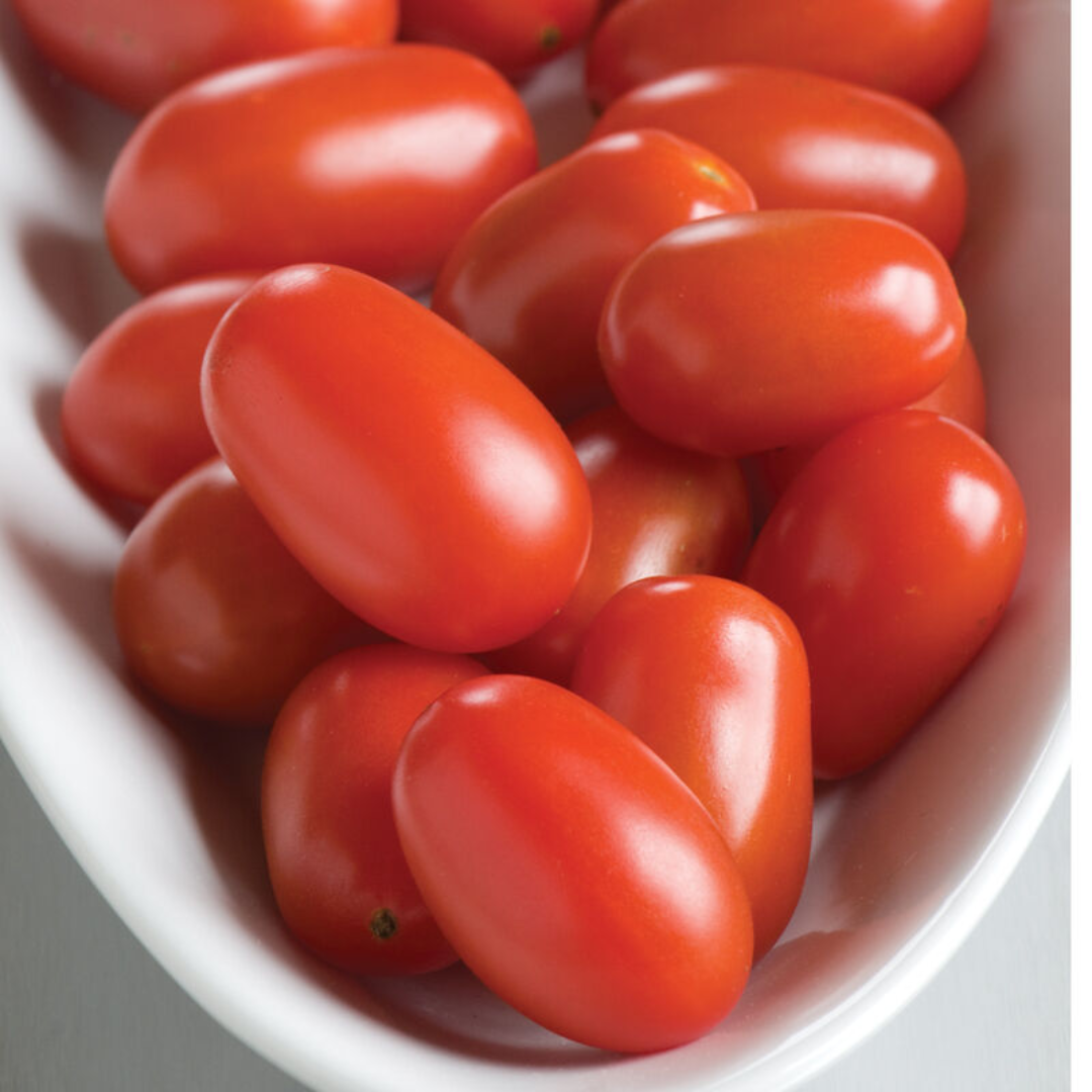 Fresh Grape Tomatoes for Global Produce Trade Markets