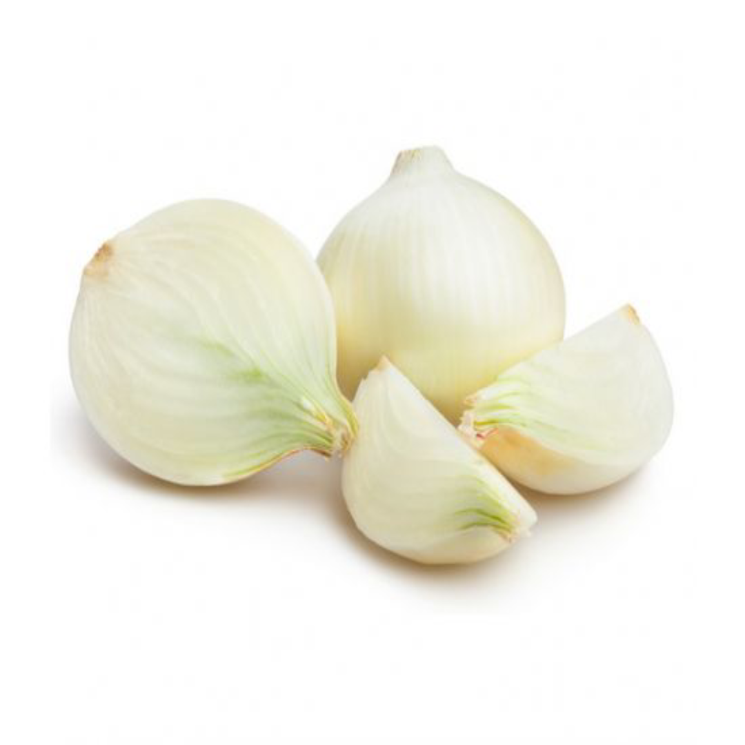 Wholesale White Onion 500GM Supplier UAE