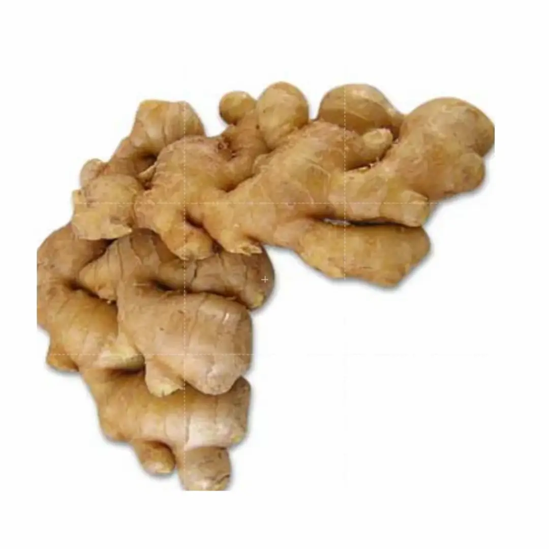 Yellow Ginger (Zingiber Officinale) – Wholesale & Supplier from India
