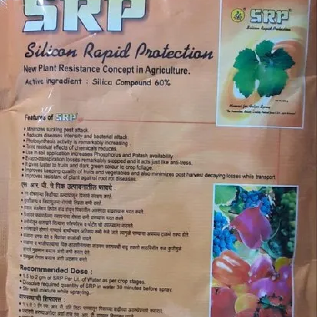 3D Packaging Label Design Services