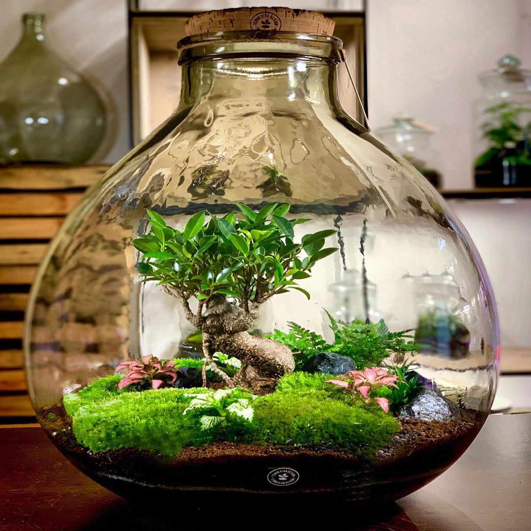 Glass Terrariums Decorative Planters UK Supplier