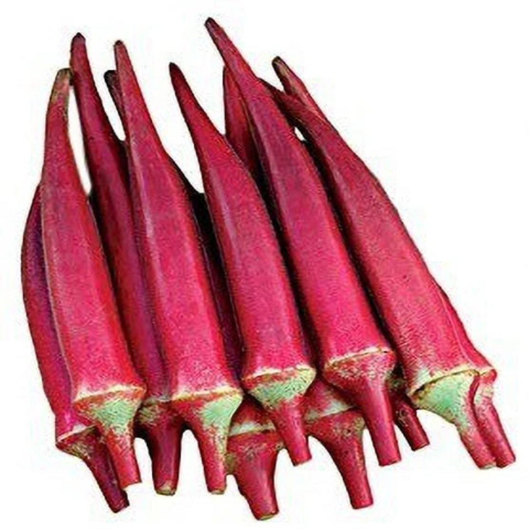 Red Short Okra for Fresh Export and Global Produce Trade