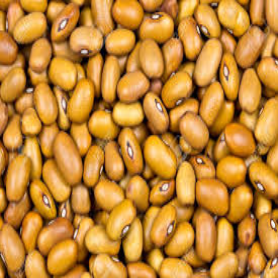 Whole Beans Premium Quality Natural Pulses for High Protein Diets and Everyday Home Cooking