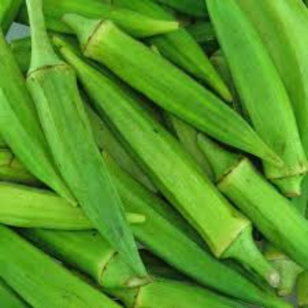 Green Short Okra for Fast-Moving Produce Export Trade
