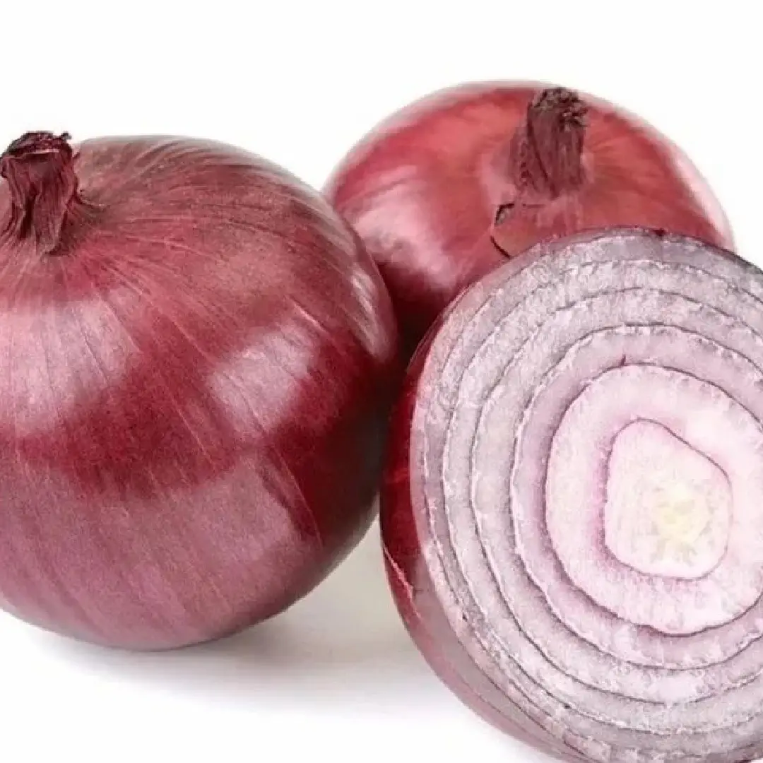 Fresh Small Red Onion – Wholesale & Supplier from India