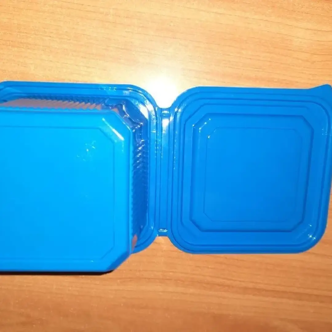 PET Thermoform Plastic Tray - Durable & Food Safe 